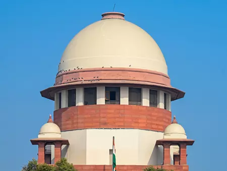 SC grants interim bail to YouTuber Gulshan Pahuja, cautions against repeating contempt conduct